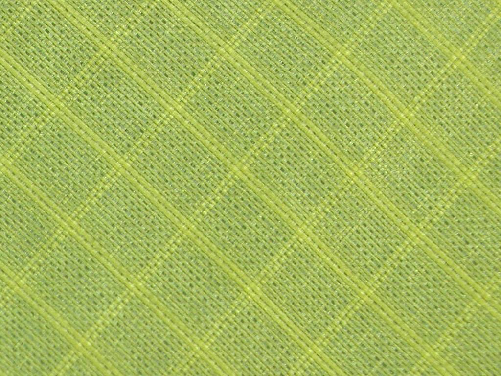 Close-up of green ripstop textile showing repeated grid lines and fine interlacing. Fiber, spacing, denier and performance are not established; not the fabric in the video.